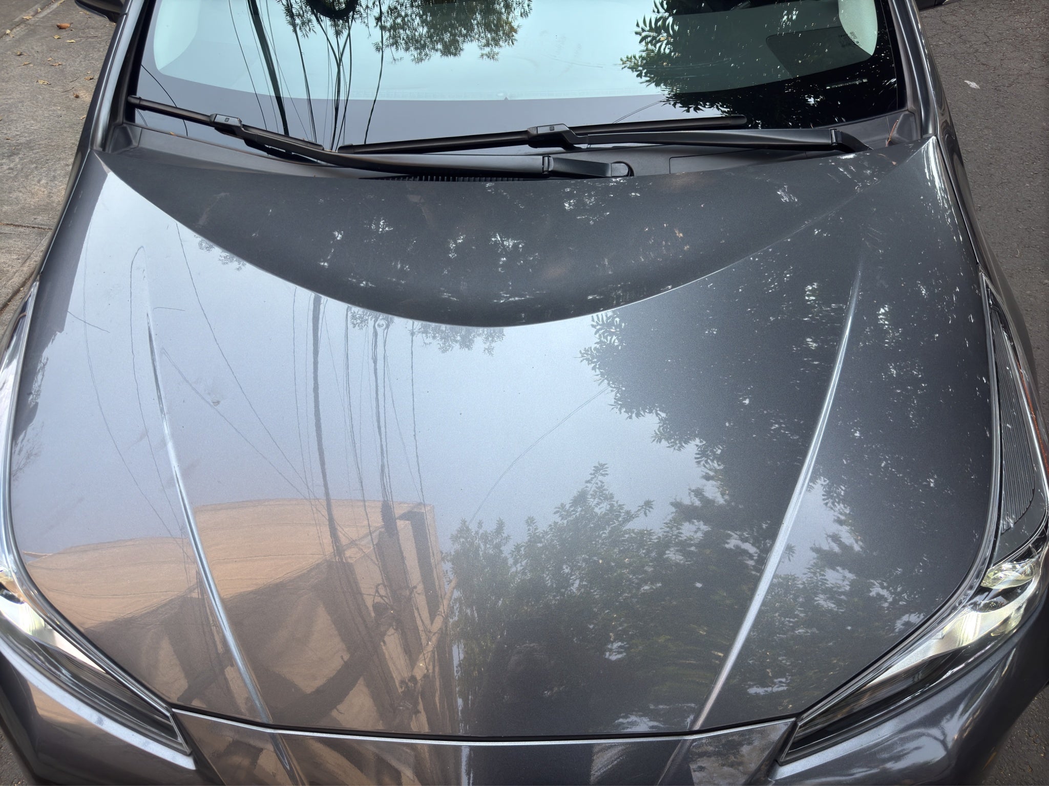 2019 Toyota Prius 1.8 Base Hibrido Cvt