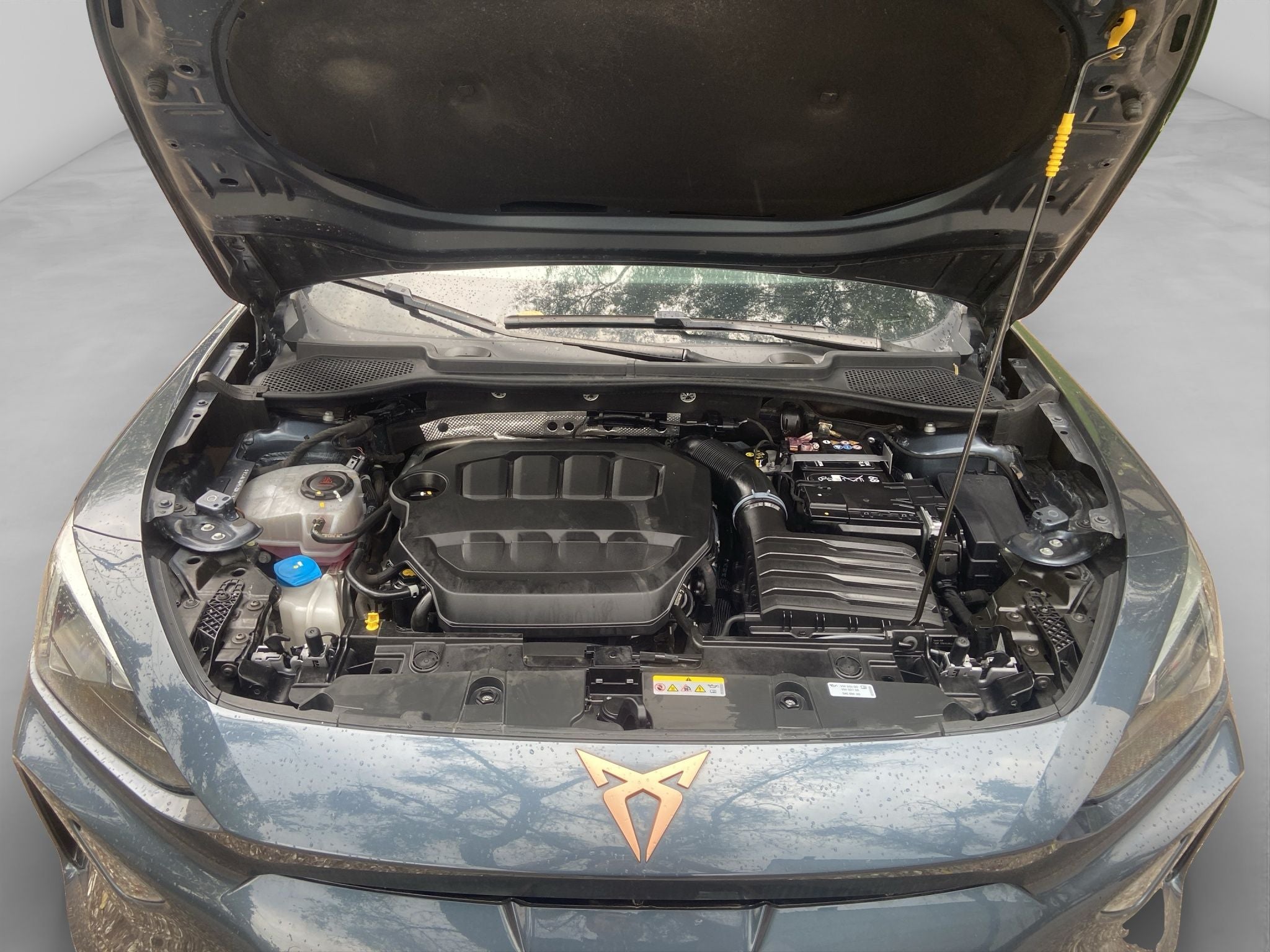 2025 Cupra Formentor 2.0 Vz At