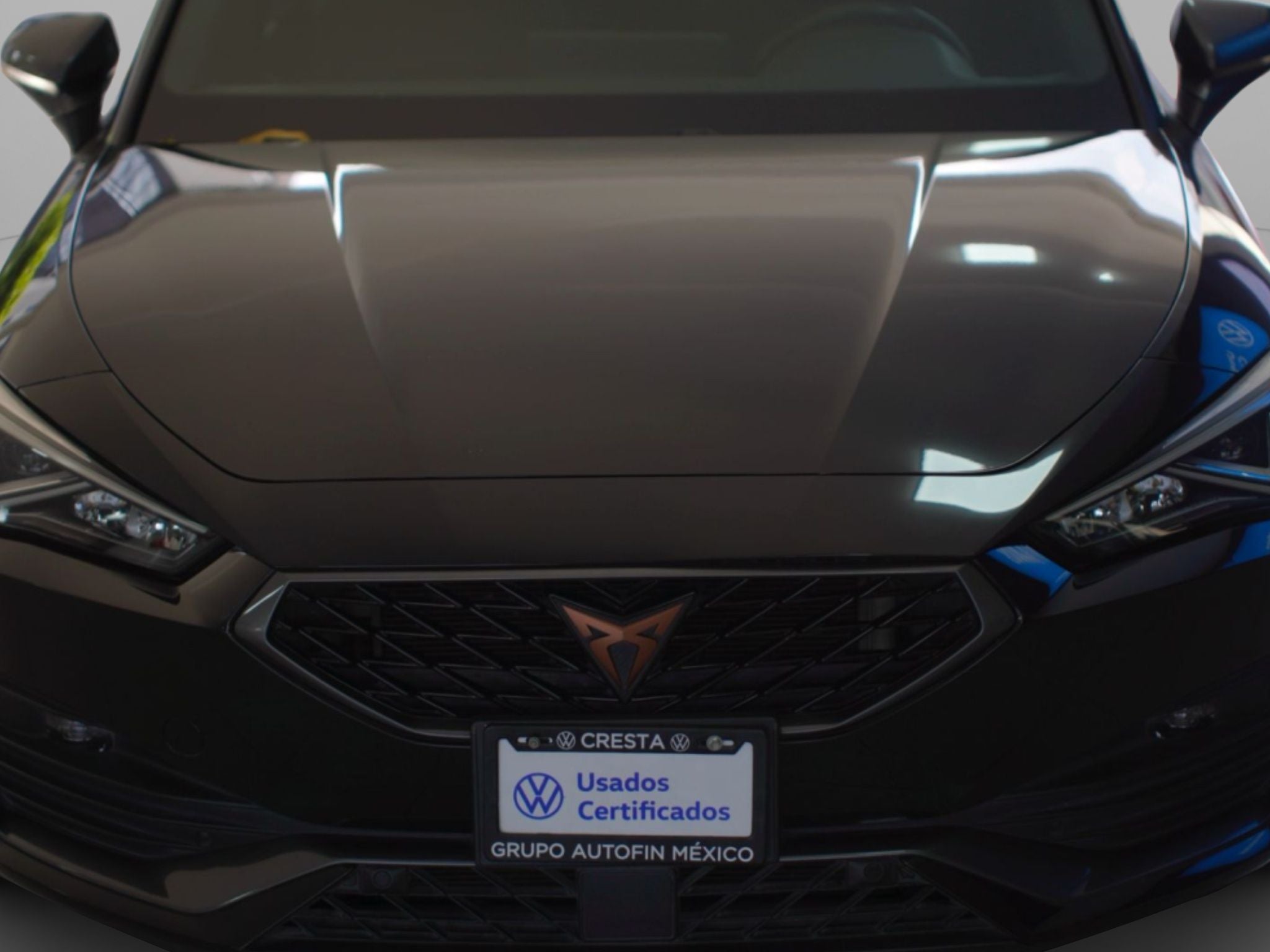 2023 Cupra Leon 2.0 245 At