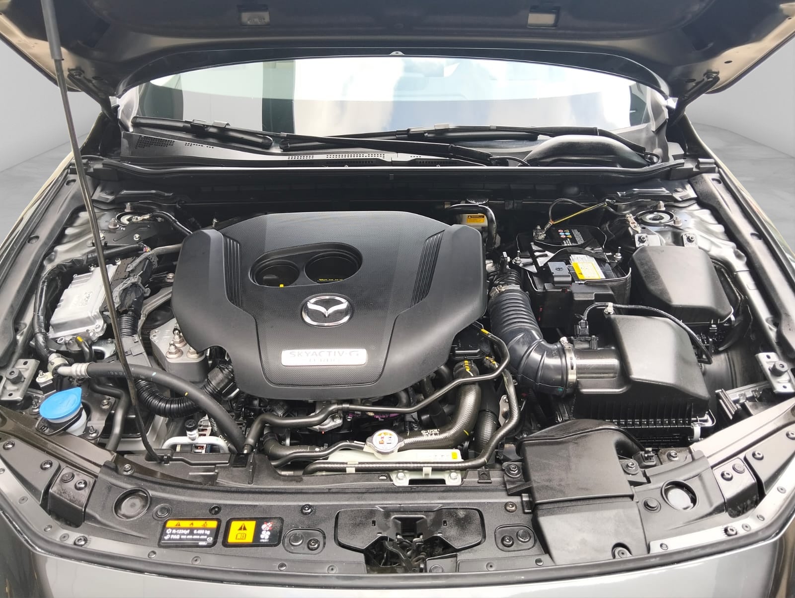 2025 Mazda Mazda 3 2.5 Signature Sedan At