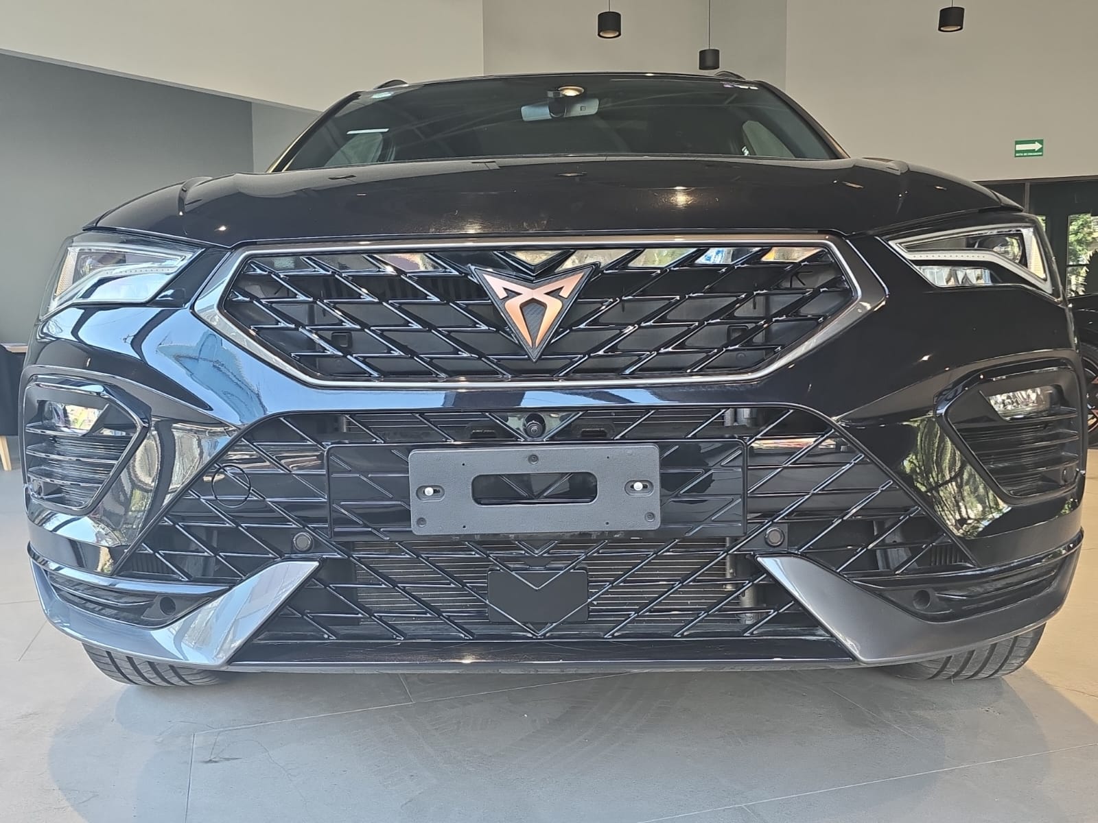 2024 Cupra Ateca 2.0 300HP At