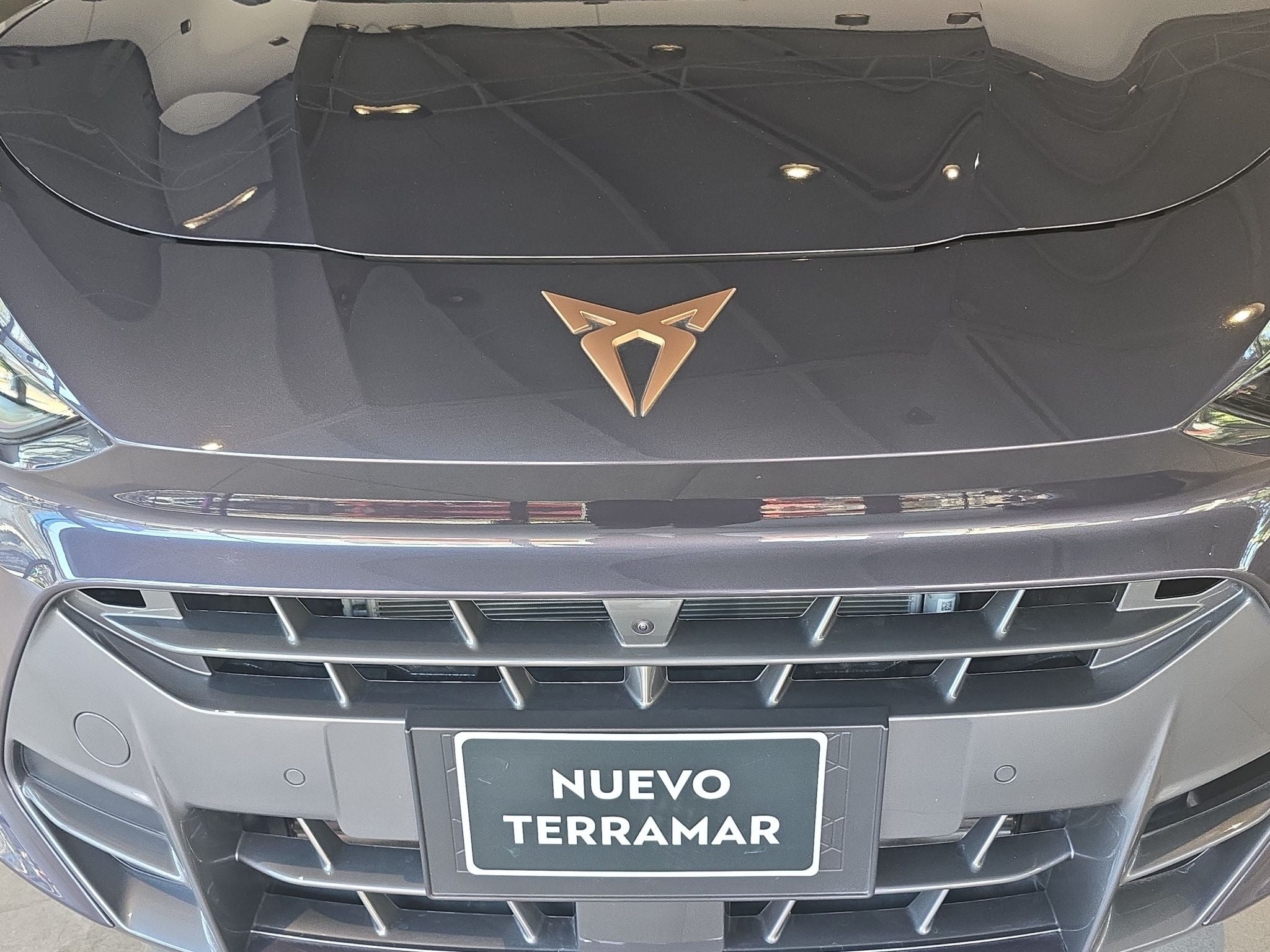 2025 Cupra Terramar VZ 2.0 TSI 265HP