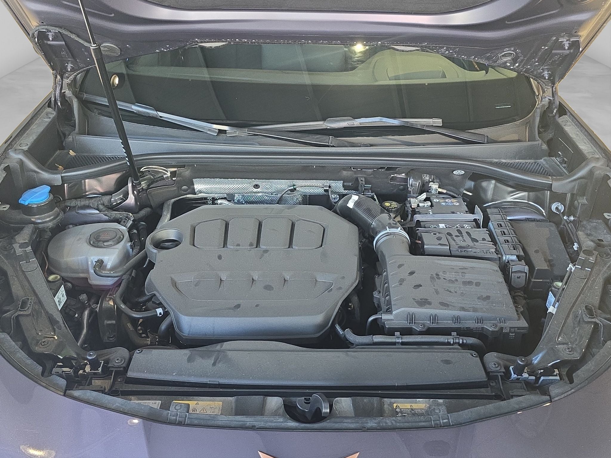 2025 Cupra Terramar VZ 2.0 TSI 265HP