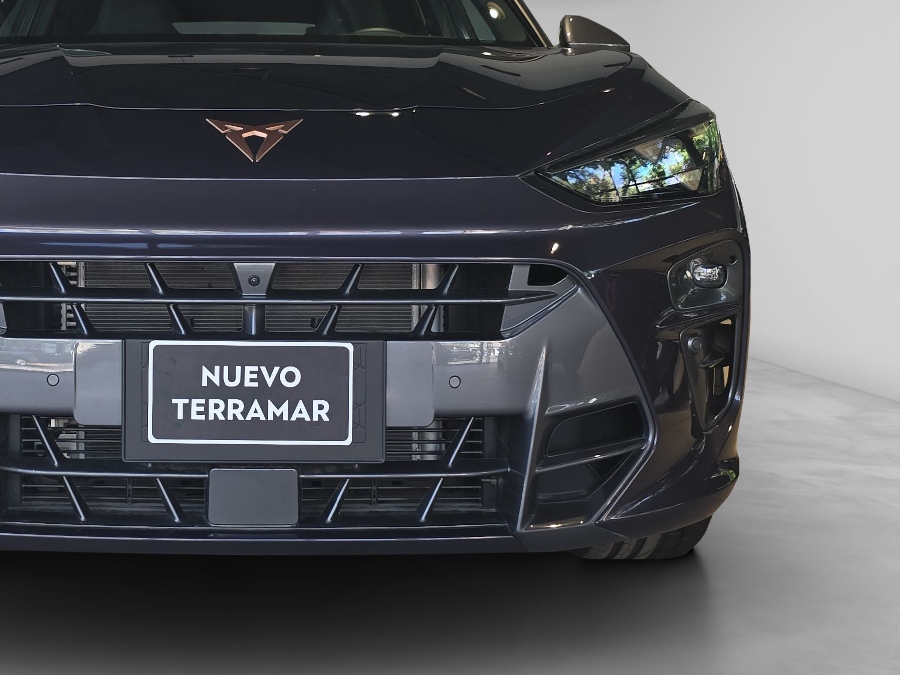 2025 Cupra Terramar VZ 2.0 TSI 265HP