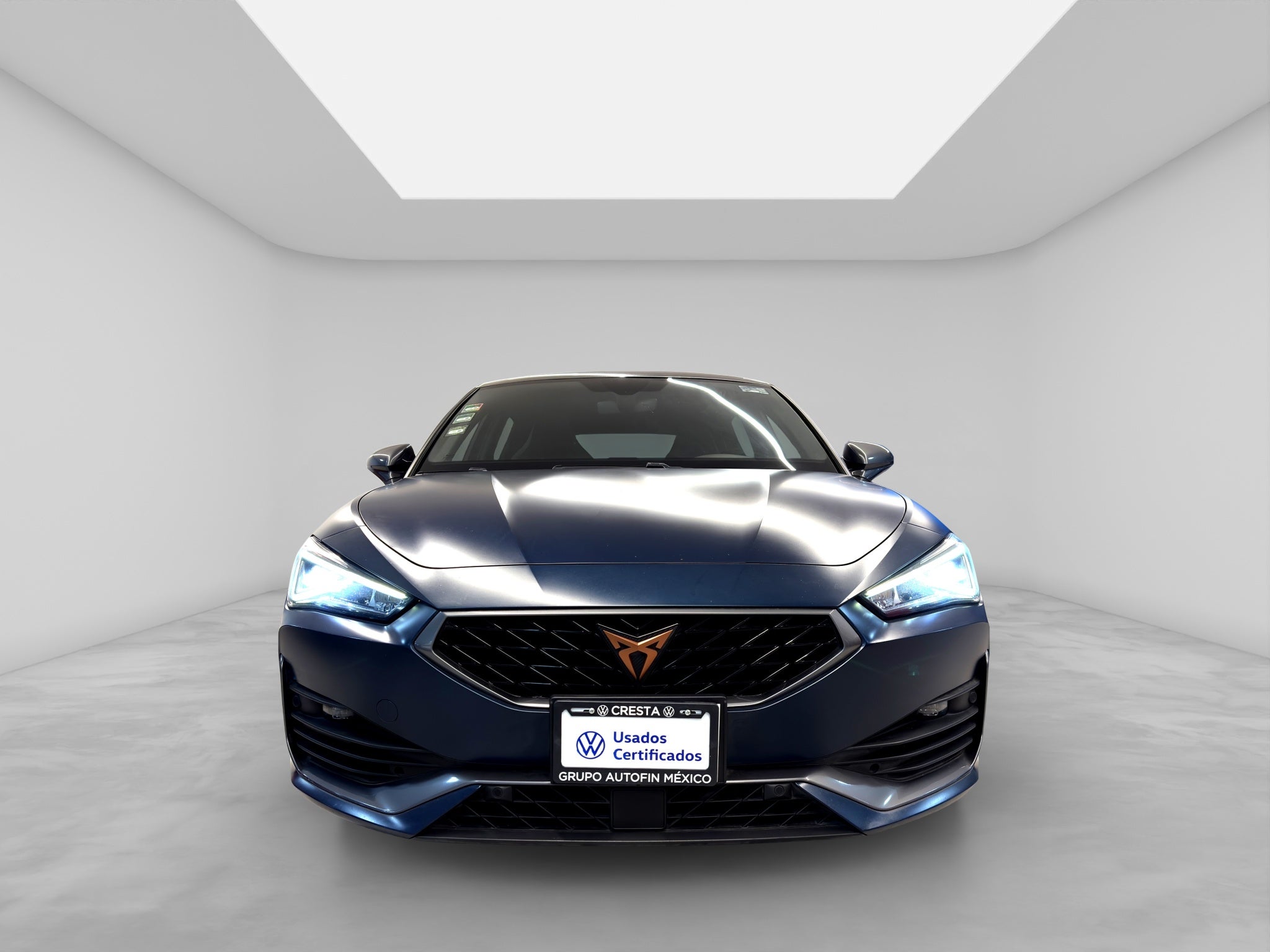 2021 Seat Leon 2.0 Cupra 5p Dsg