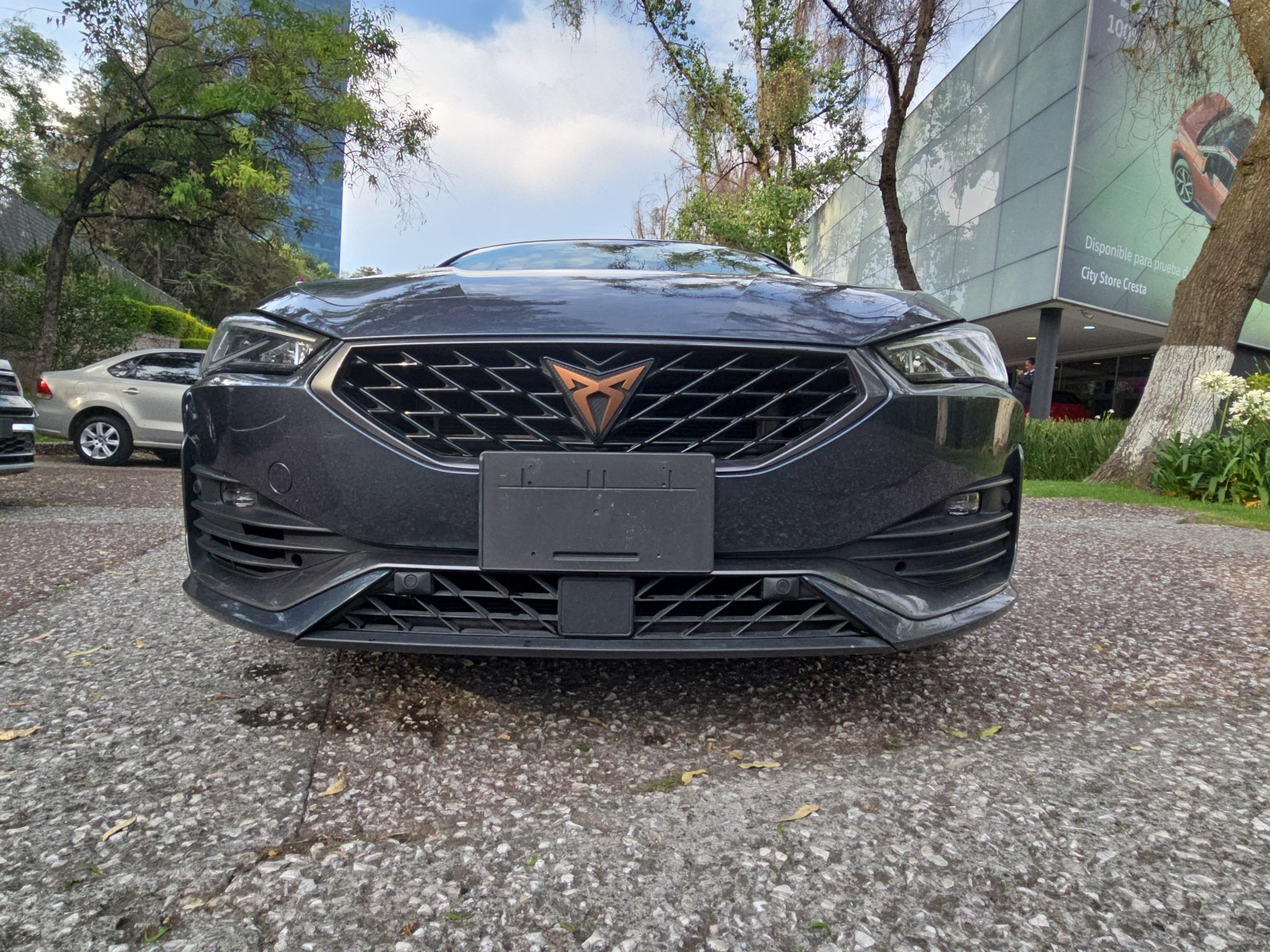 2024 Cupra Leon 2.0 300 At