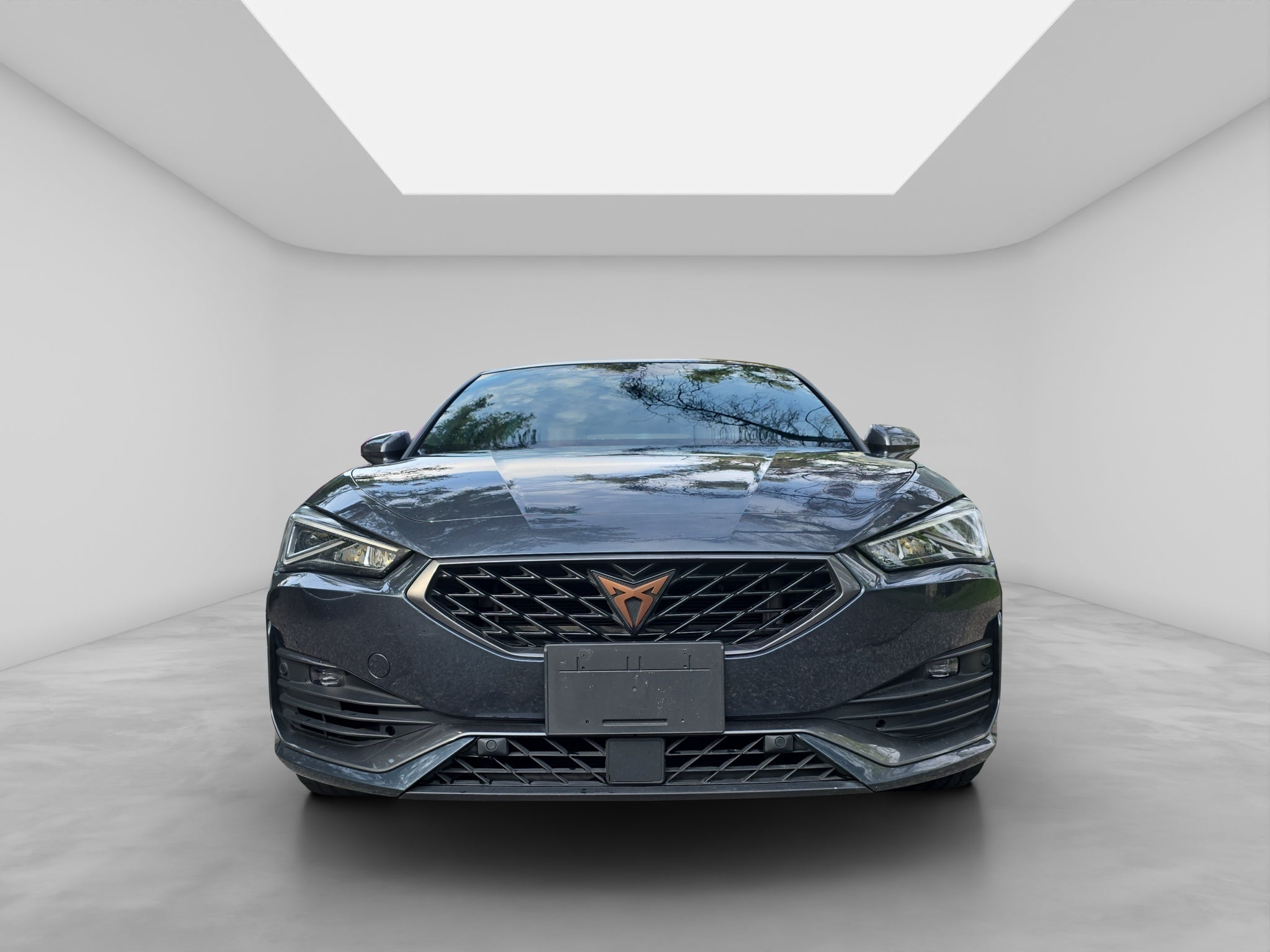 2024 Cupra Leon 2.0 300 At