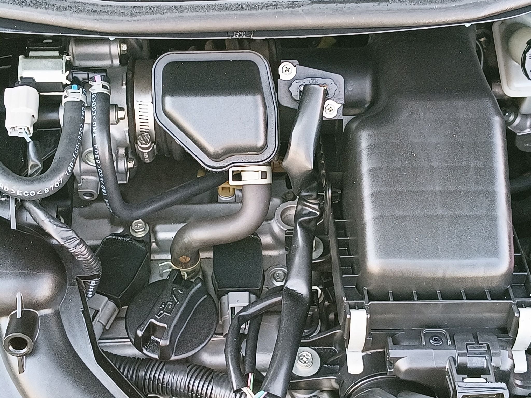 2025 Nissan March 1.6 Advance Mt