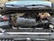 2020 RAM 1500 3.3 V6 XL Cab Regular 4x2 AT