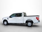 2023 Ford F-150 3.3 XL Cabina Regular V6 4x2 At