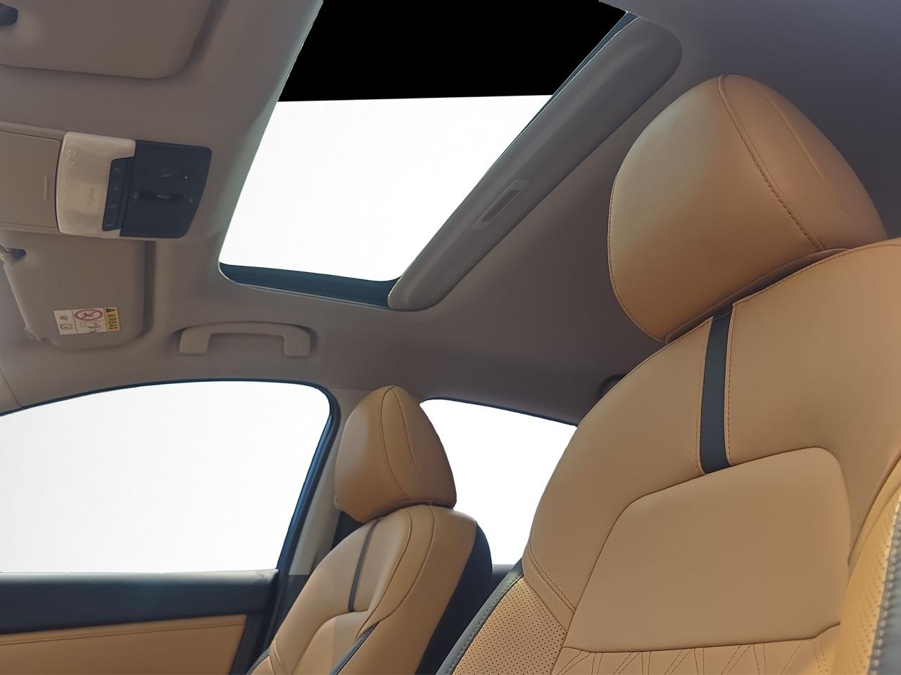 2025 Nissan Sentra 2.0 SR Platinum At