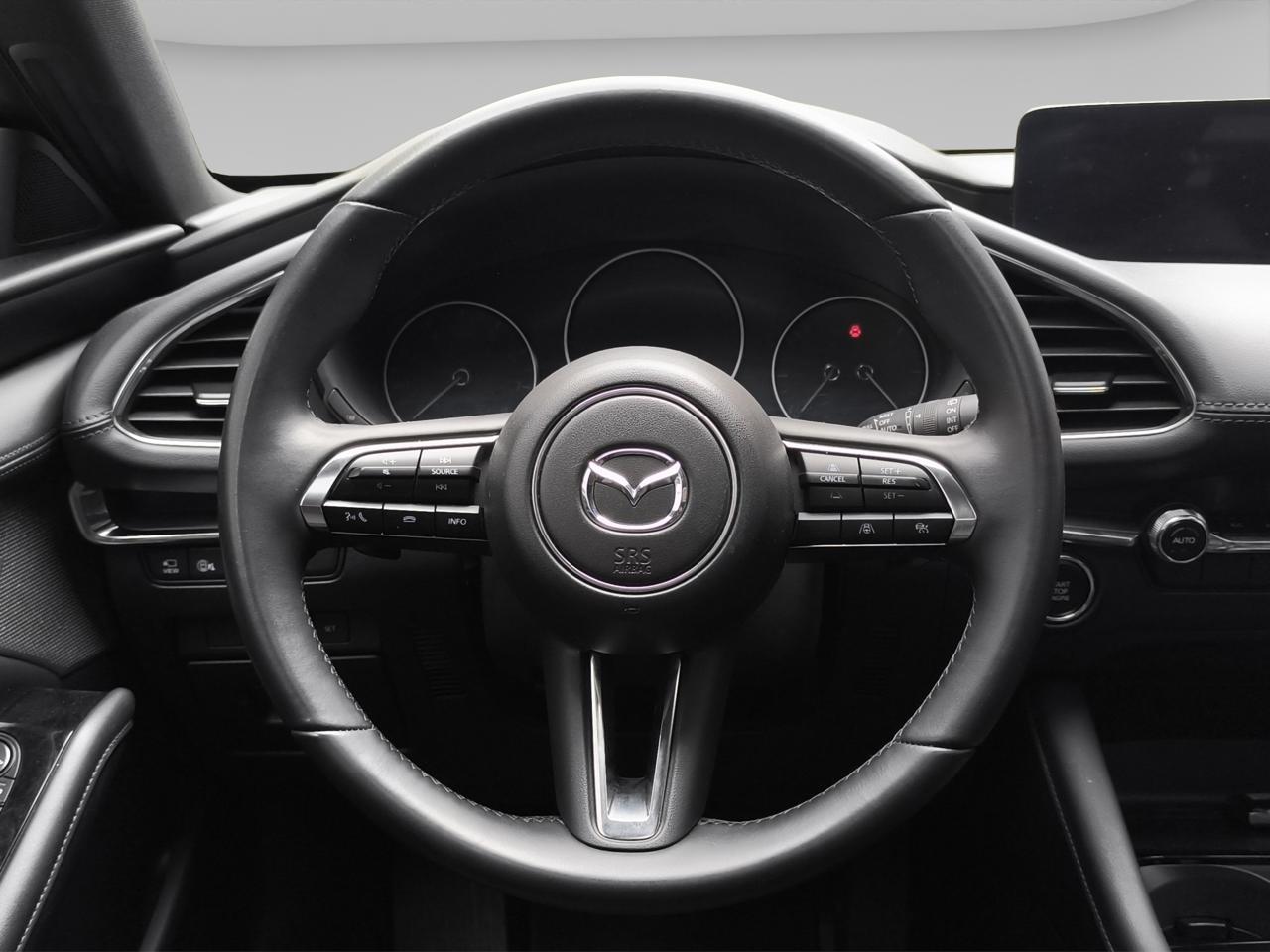 2025 Mazda Mazda 3 2.5 Signature Hb At