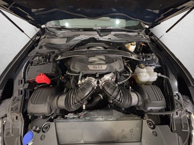 2025 Ford Mustang 5.0 Dark Horse Mt