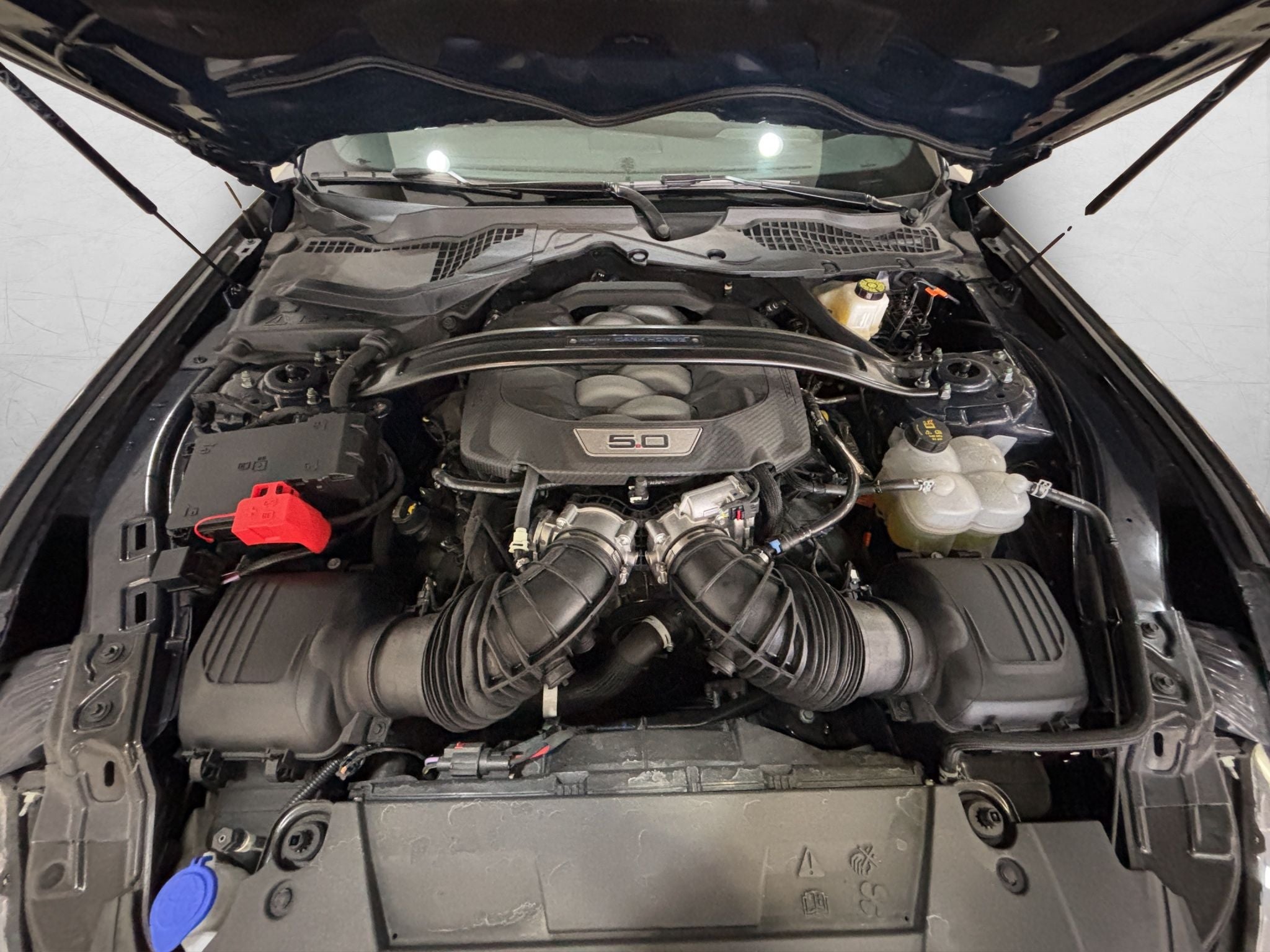 2025 Ford Mustang 5.0 Dark Horse Mt