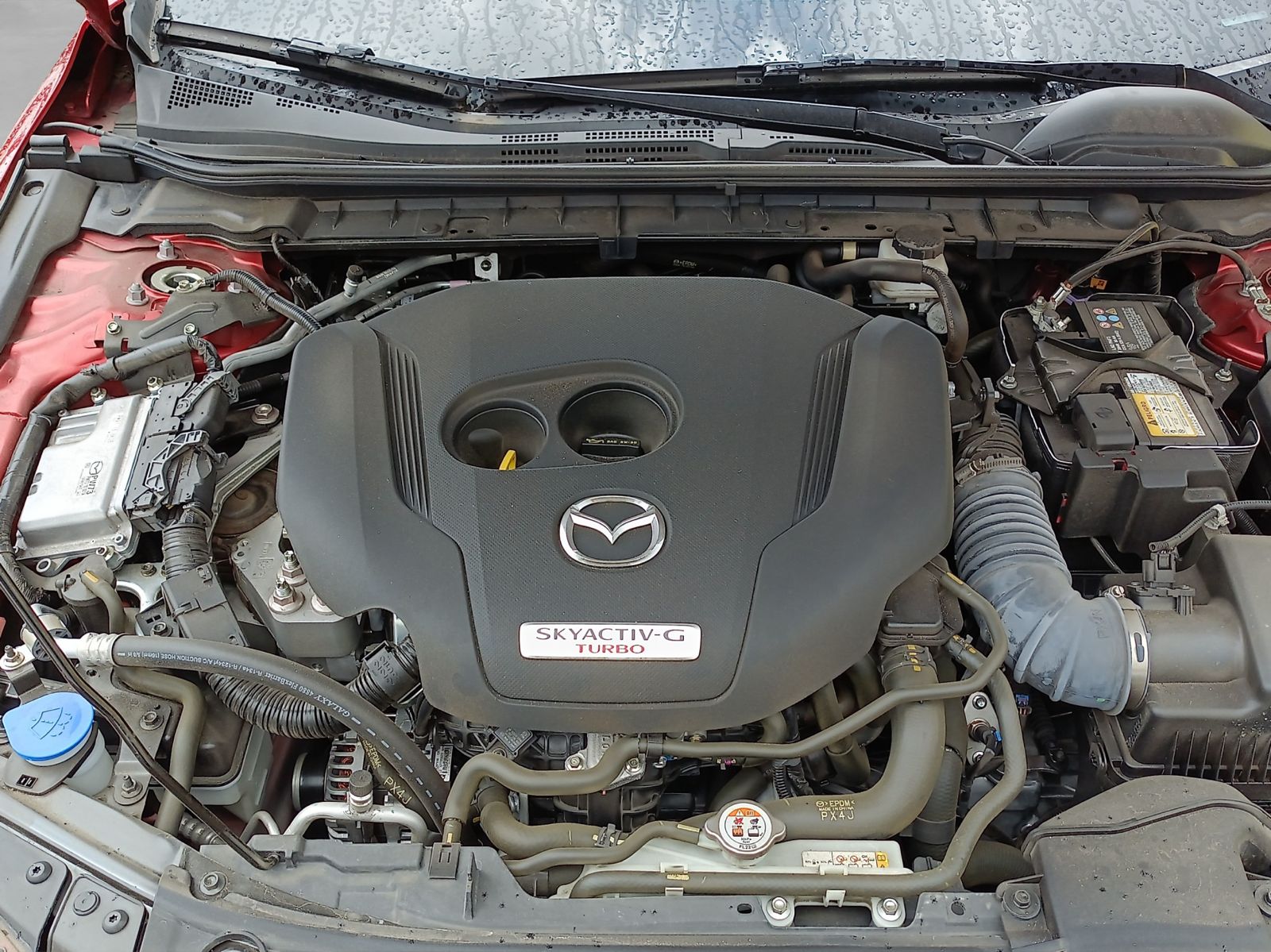 2025 Mazda Mazda 3 2.5 Signature Hb At