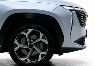 2024 Geely Starray 2.0 Gf At