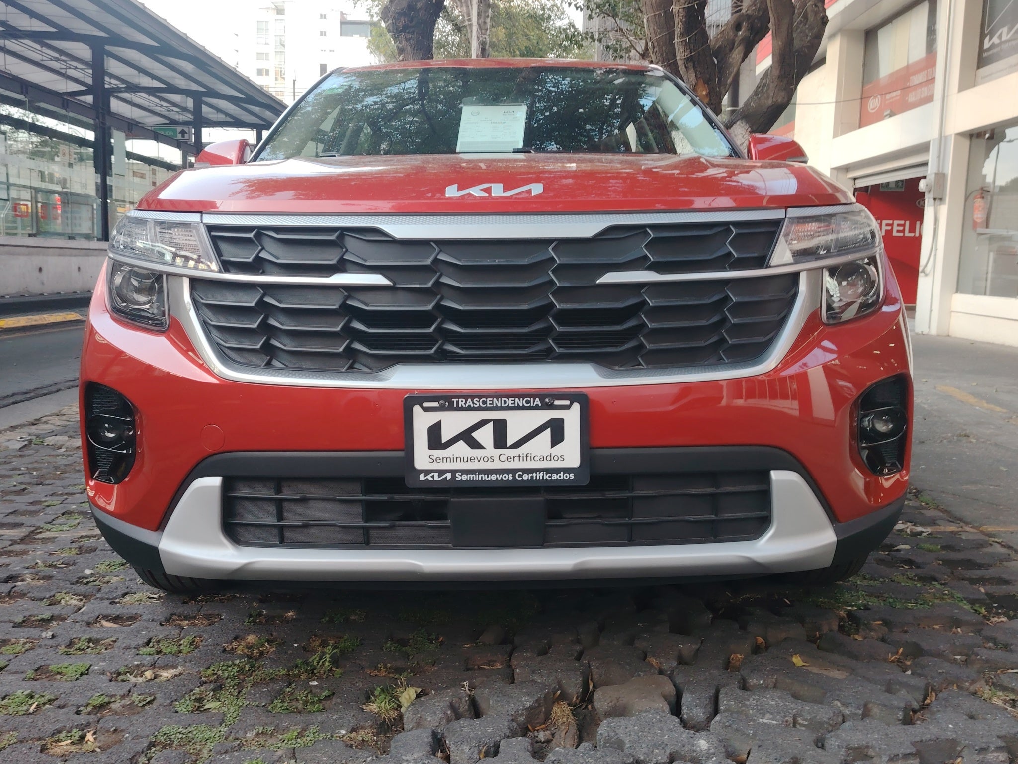 2021 Kia Seltos 1.6 L4 EX Pack Piel At