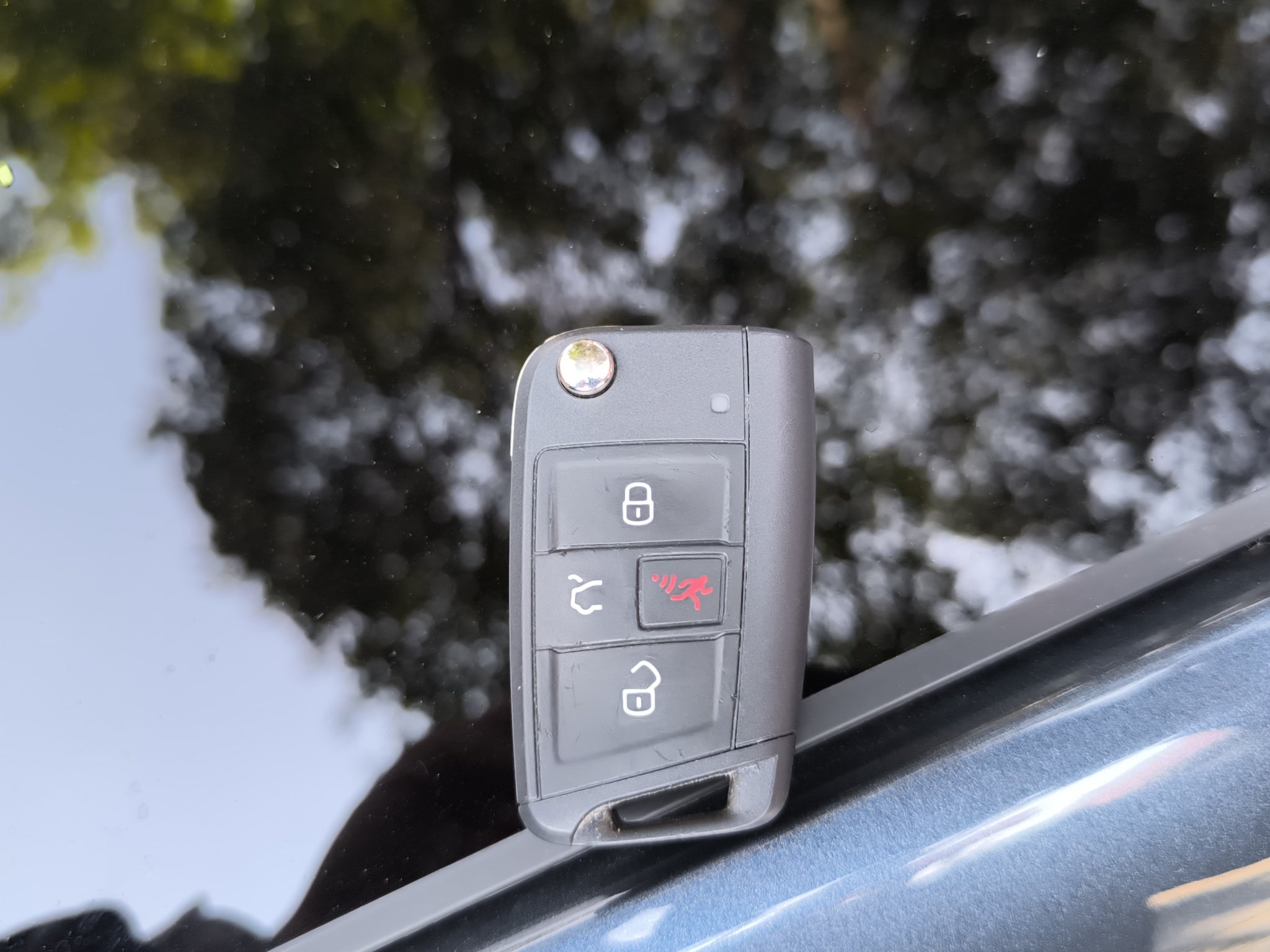 2025 Seat Ibiza FR 1.6L TM