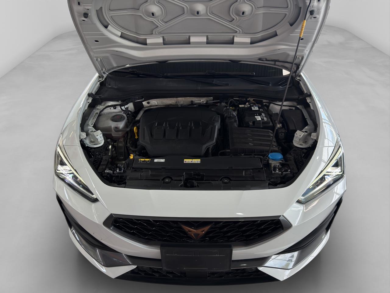 2024 Seat Leon cupra leon 190 HP